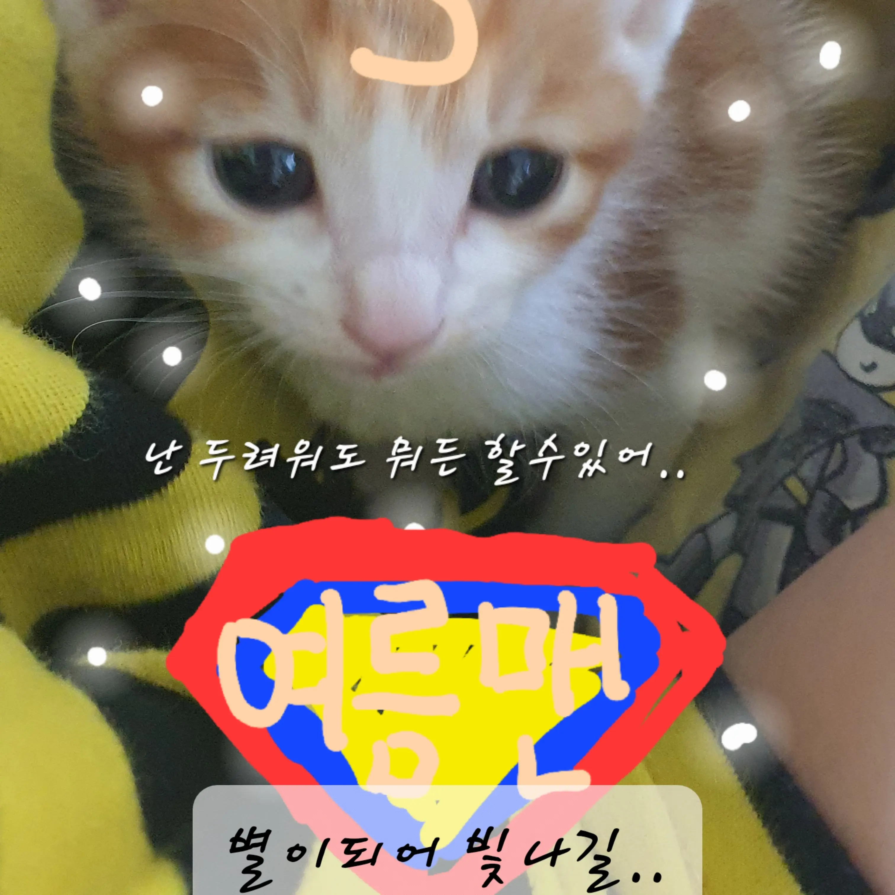 SpryMilk7719의 돌아간 고양이..
