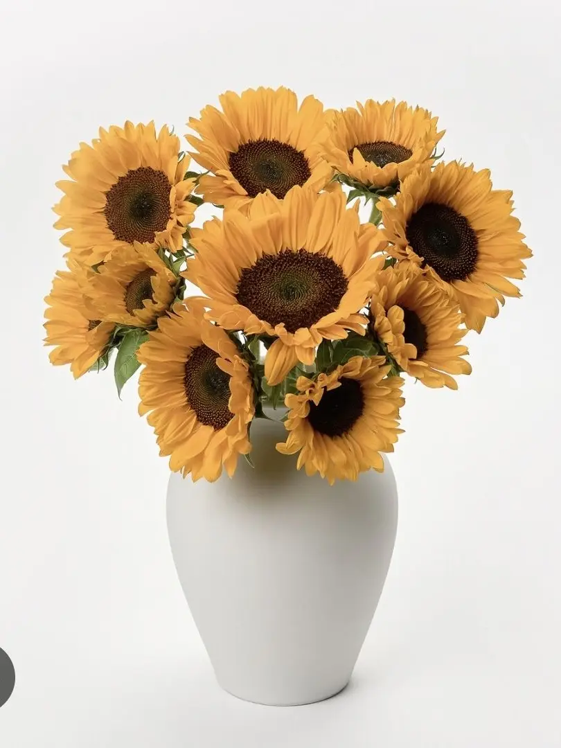 Xzxz의 부인!(이 말만 10000번 째중)