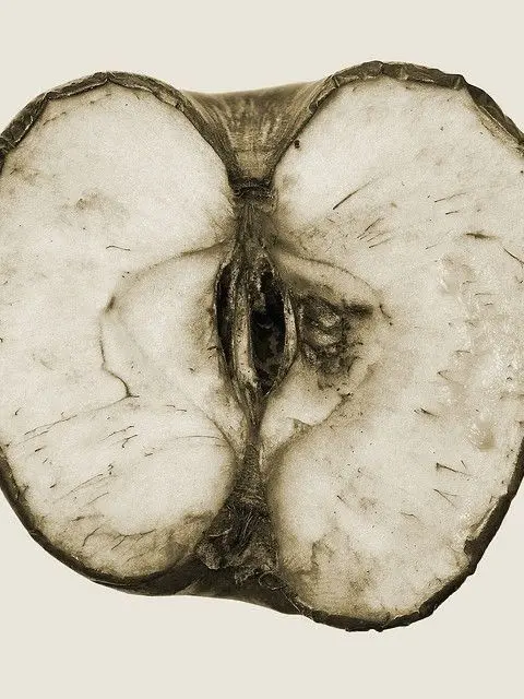 m1dsummer의 주의연