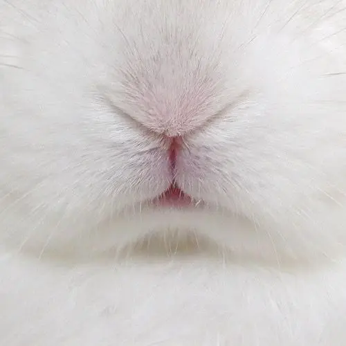 Sooma의 날 질투하는 같은 그룹 멤버들