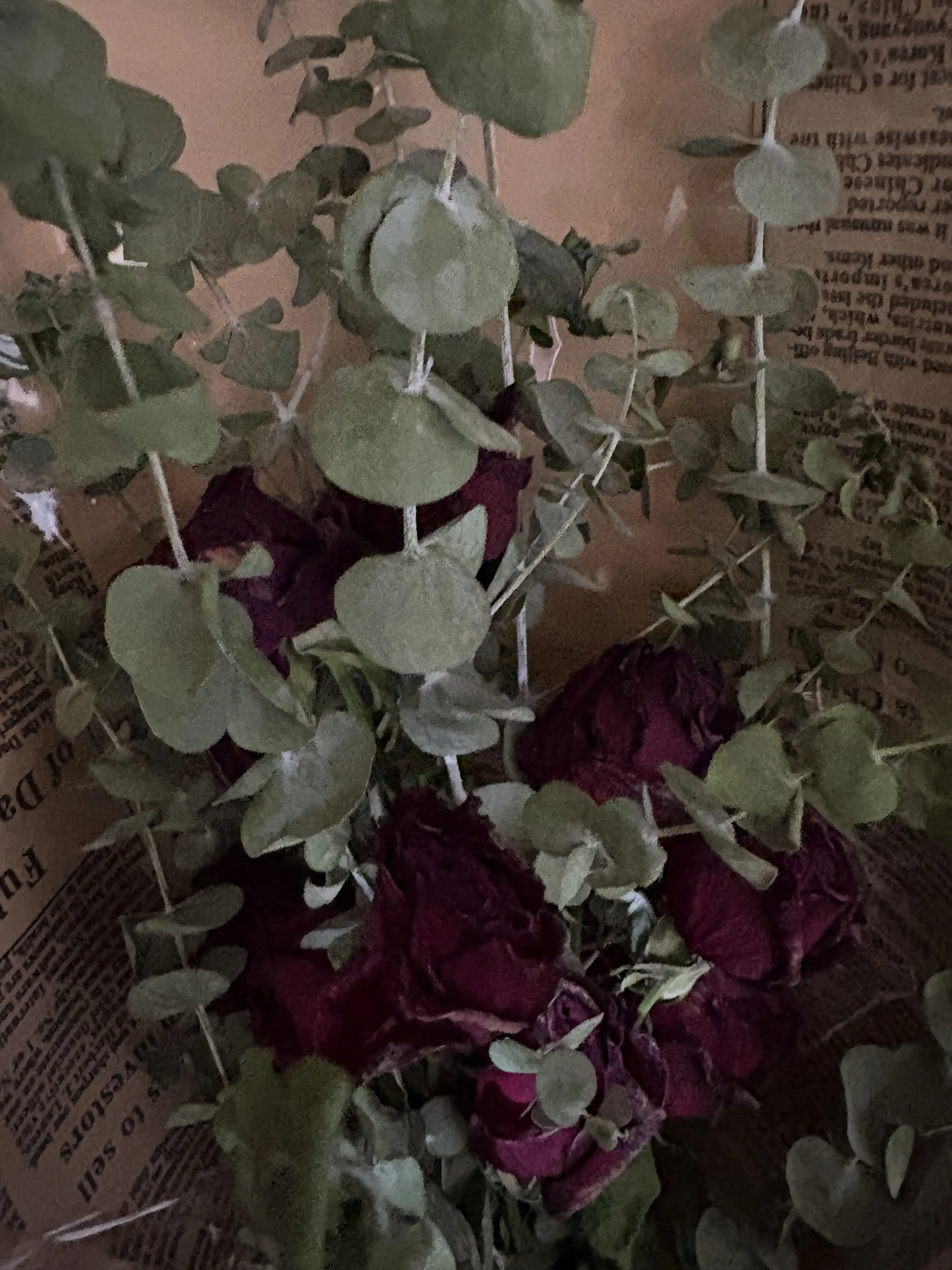 I_hate_English의 이호성