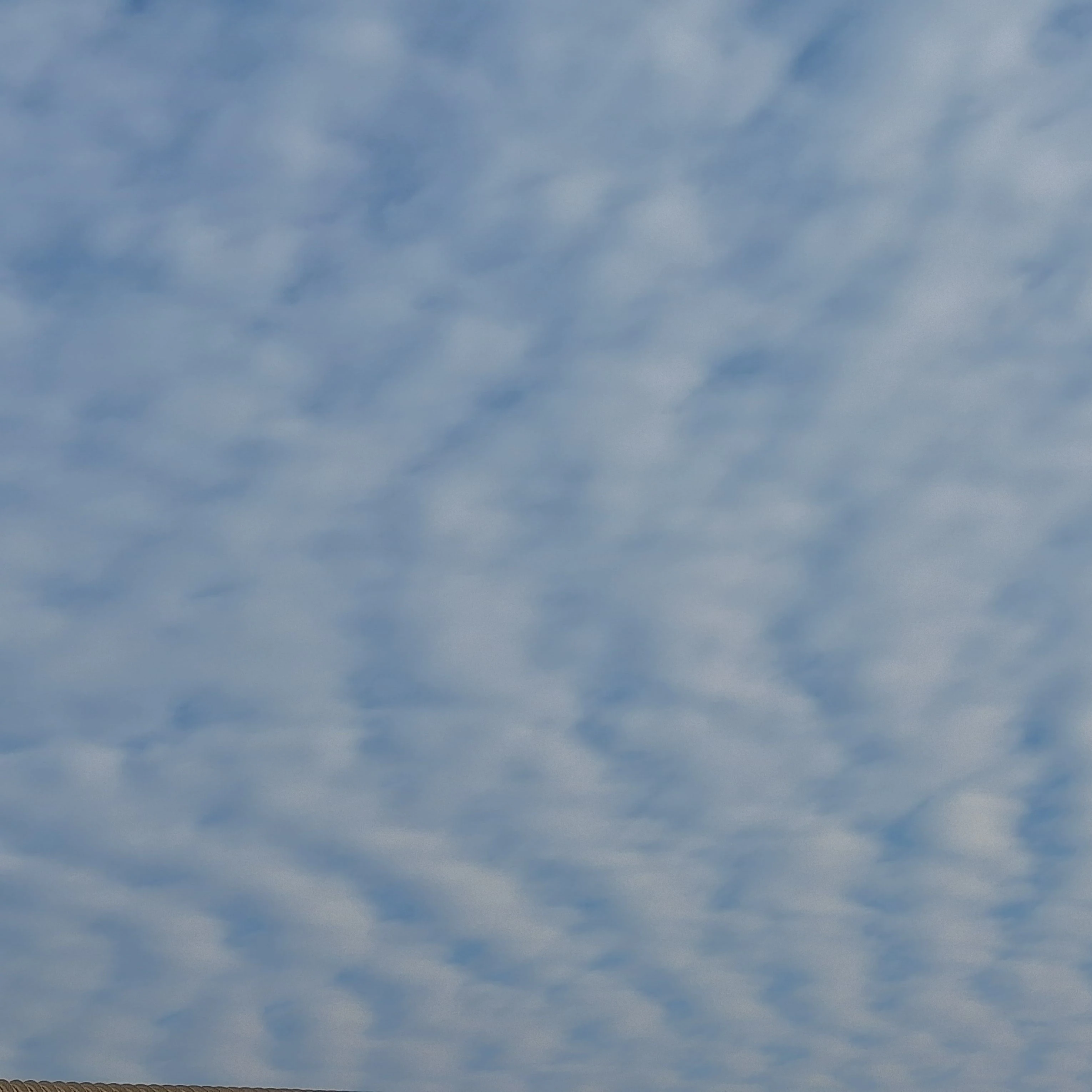 리레볼루션[배신]