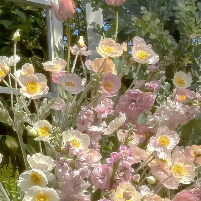 gil_miso의 이진성