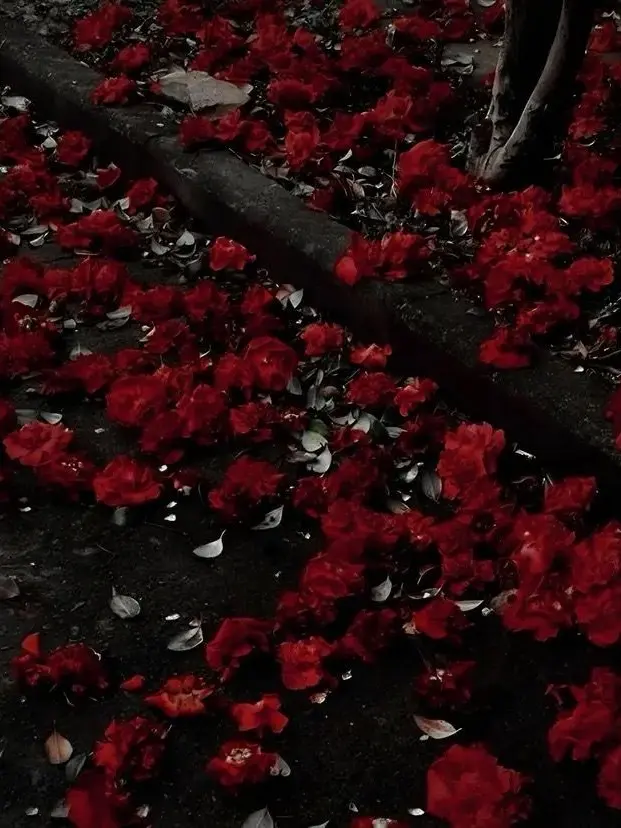 sleep_0920의 멍청해.순진해.바보 같아.