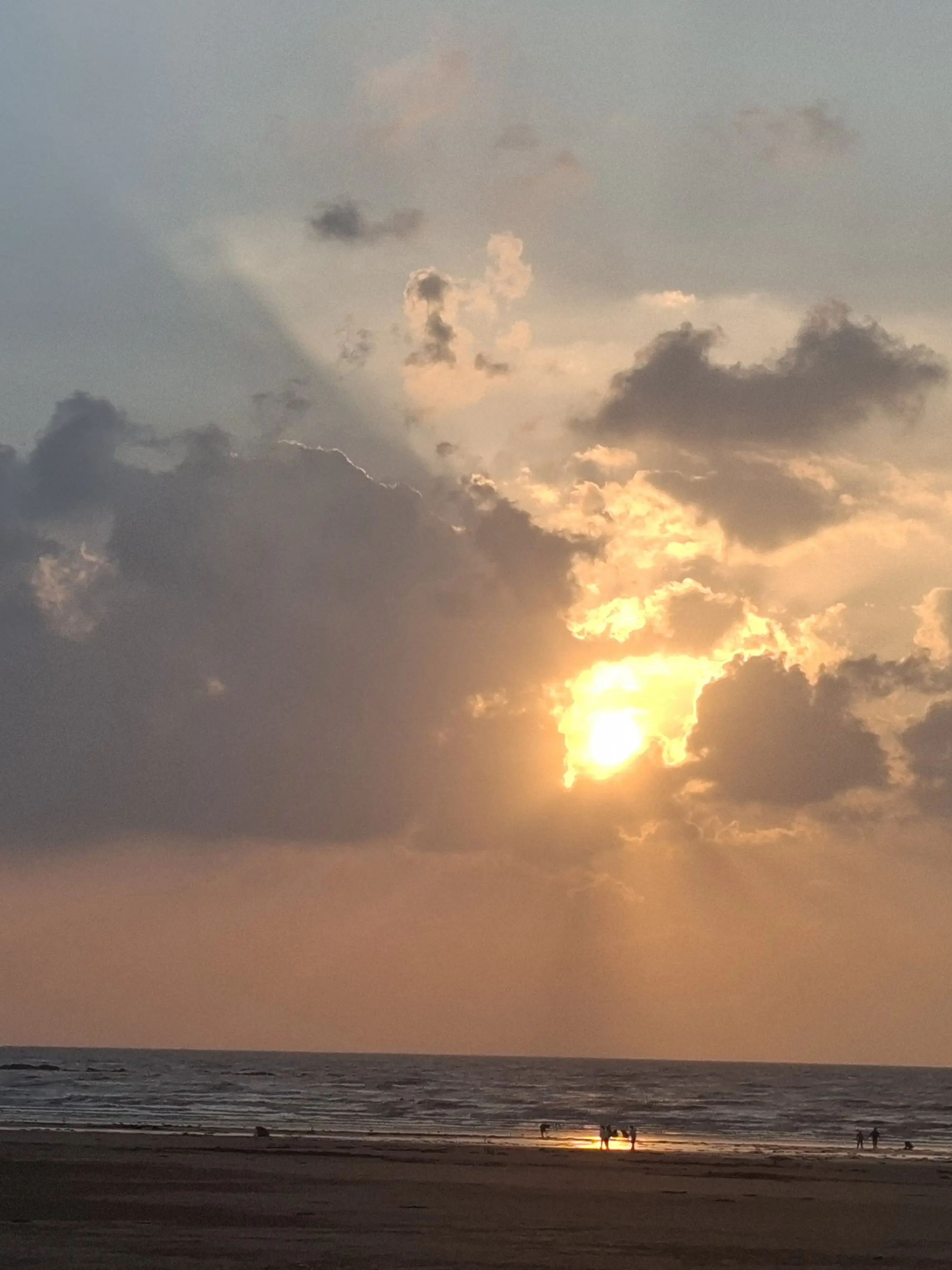 chisuhi0822의 뜰팁 현판au