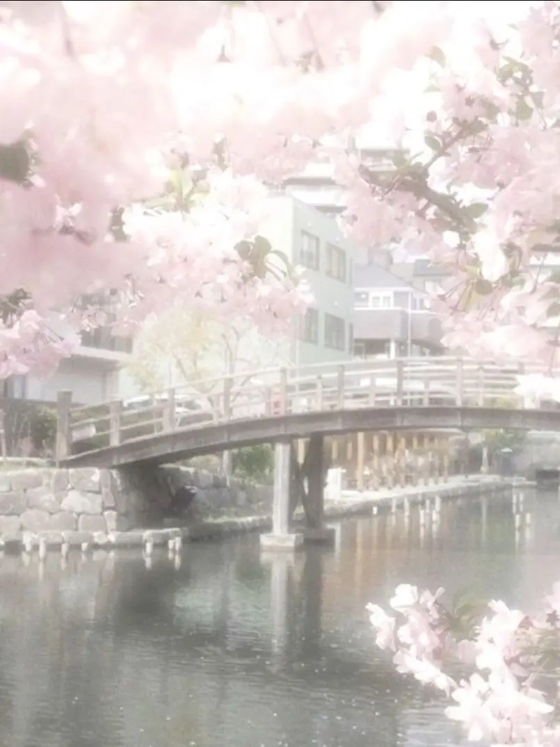 PrimalPanel2375의 너와의 찬란했던 기억들"여우포함"