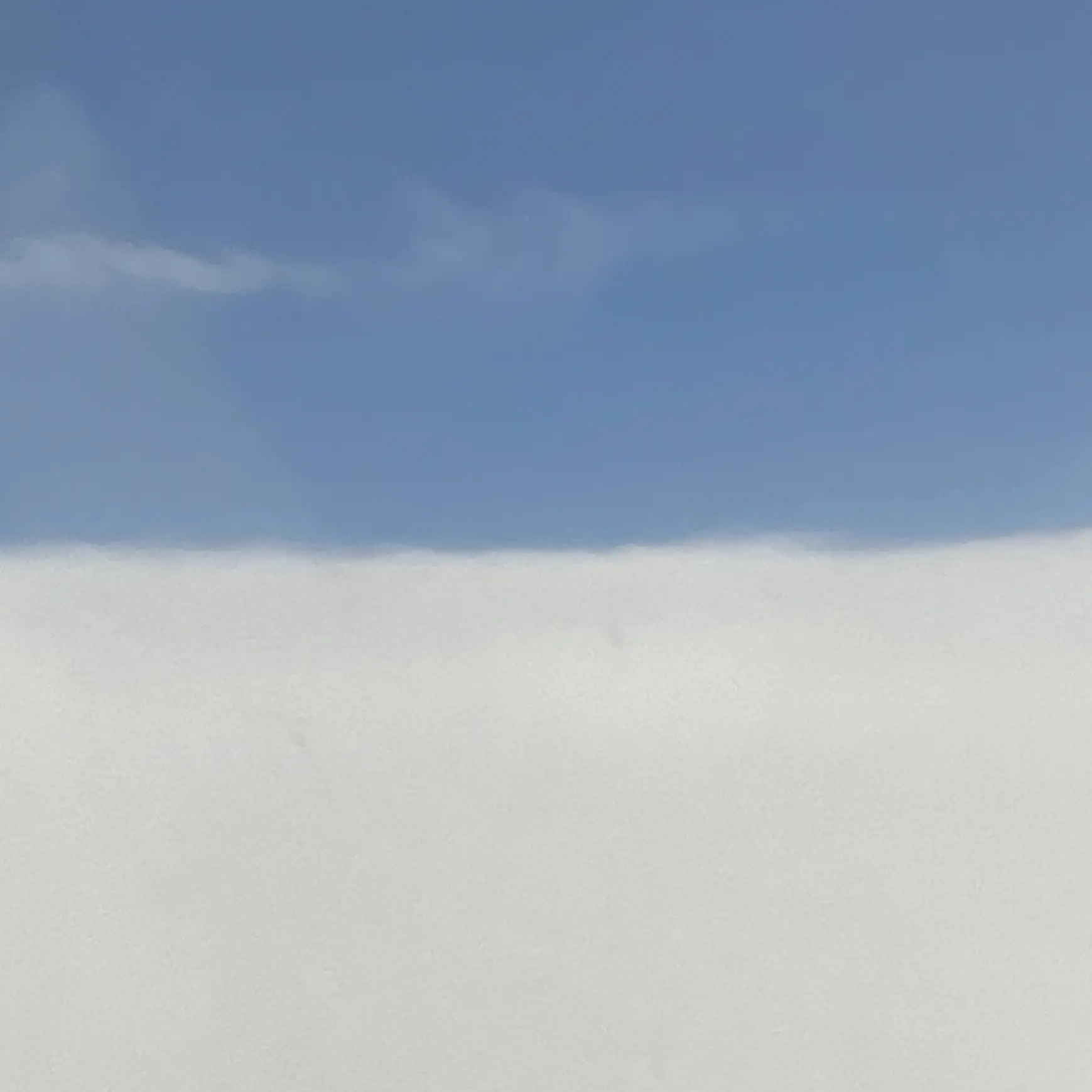 SubtleBed0656의 とても可愛い友達が出来ました