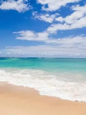 FickleDaisy4123의 비스트 바다여행