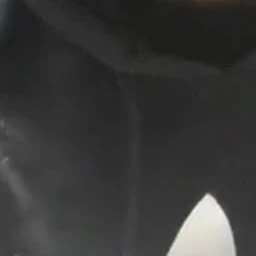 혐관 촌놈 이겨먹기