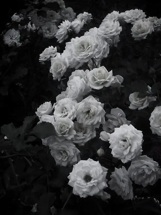 fu_.a02의 【BL】 別にいいもんね！！