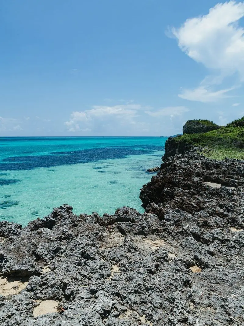 MightyBand5740의 人魚パロ