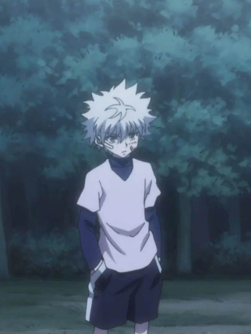 mimimi123의 Killua's Rival
