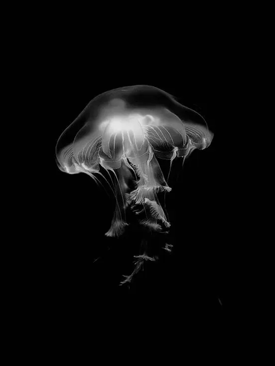 Loveending의 郵瀜