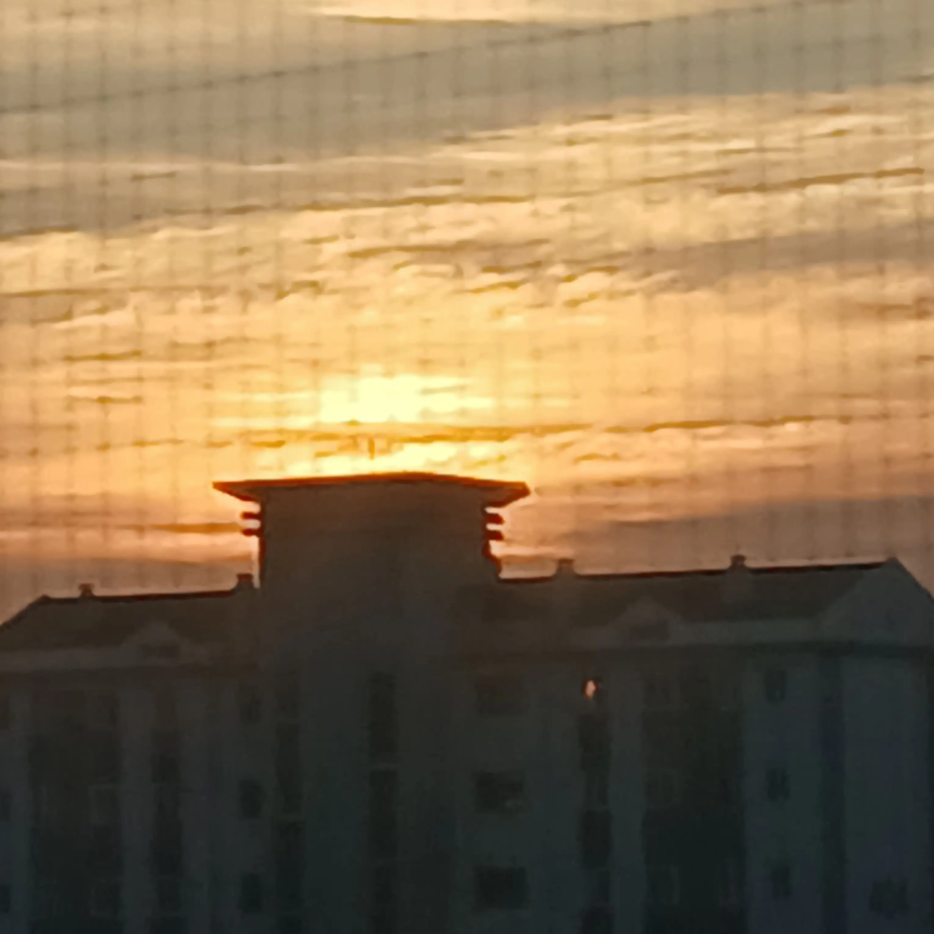 SadIbex0801의 차별가족