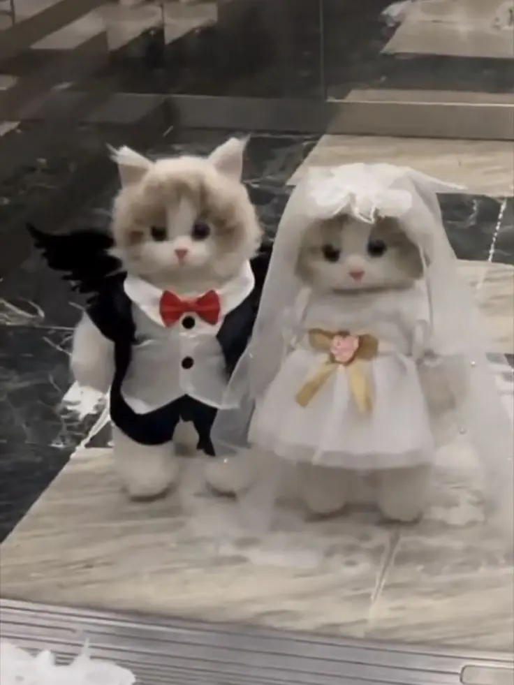 sunstar0412의 명탐정 코난(커플)