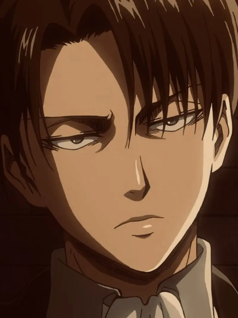 MeltyMud1163의 Levi Ackerman
