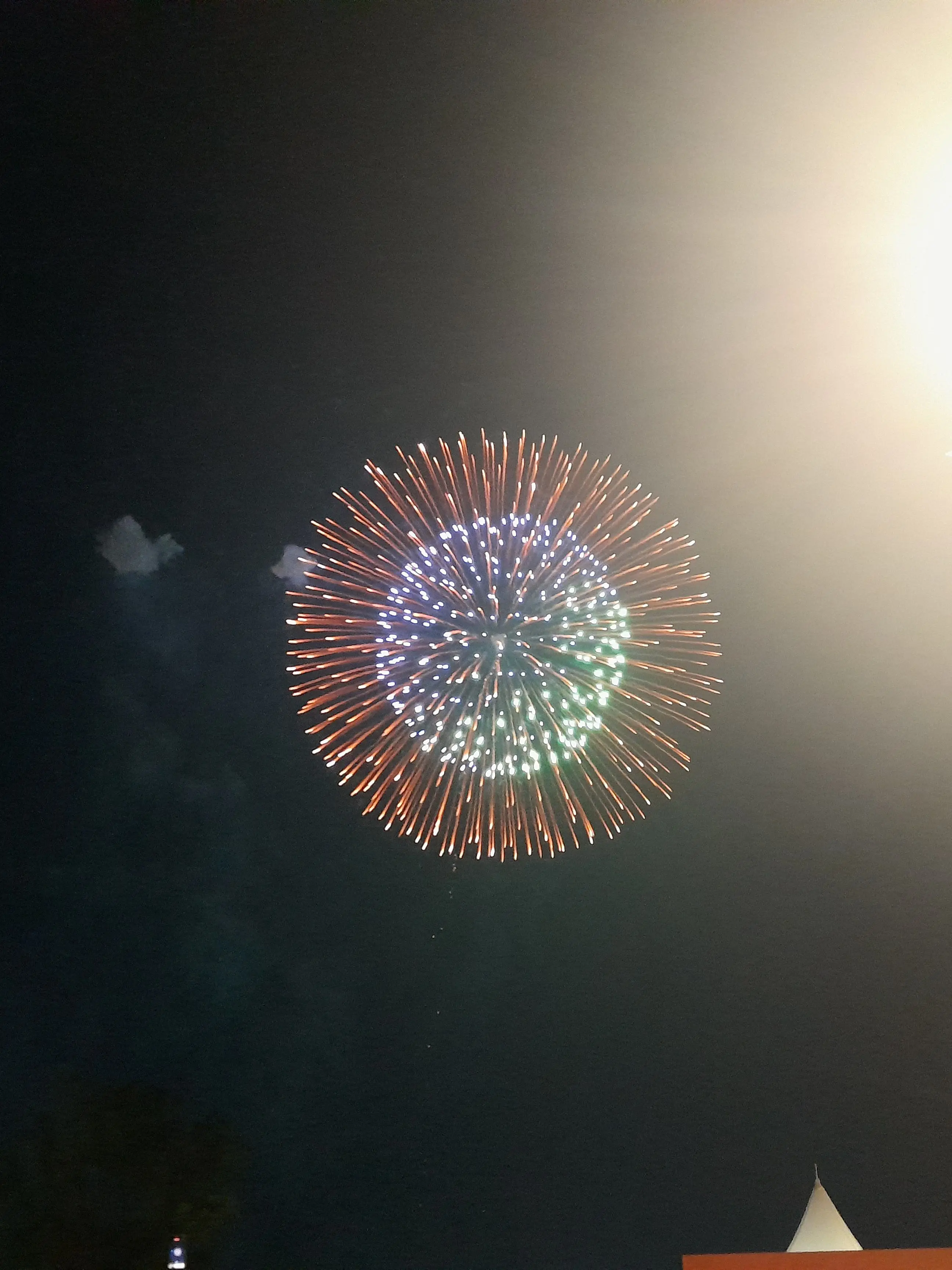 SYLEE1118의 きゅうり組に今度は狼が転校してきた？！