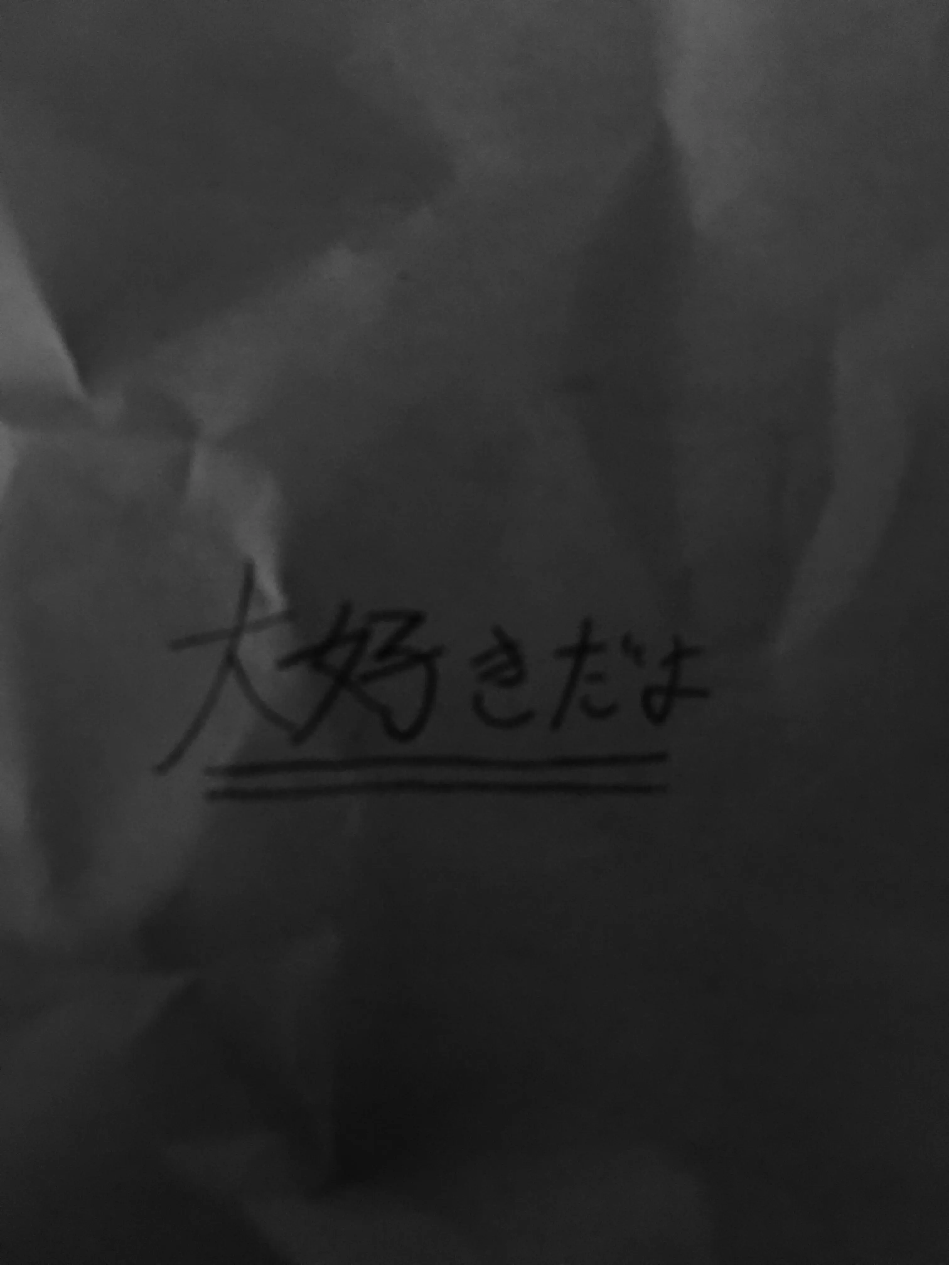 STAY._.NANA의 大好きだよ