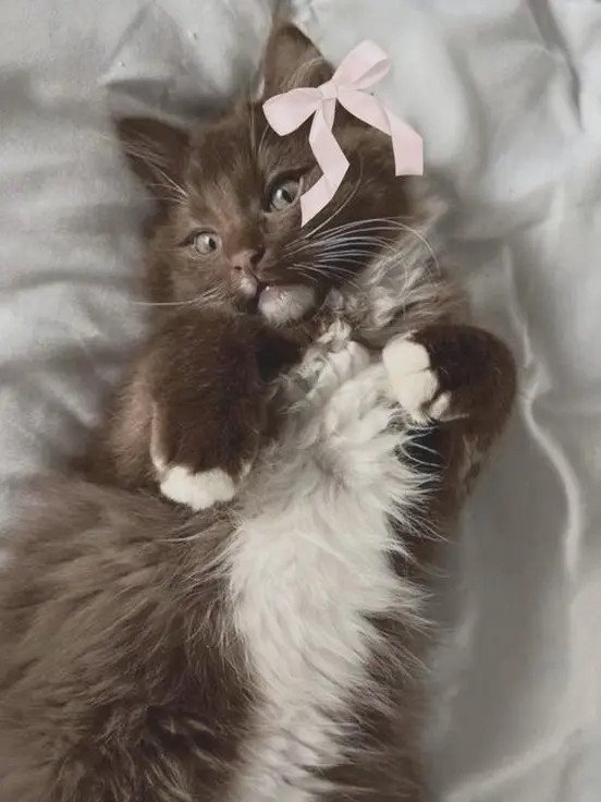 burger__의 “야 국어 쌤이랑 수학 쌤 사귄대“