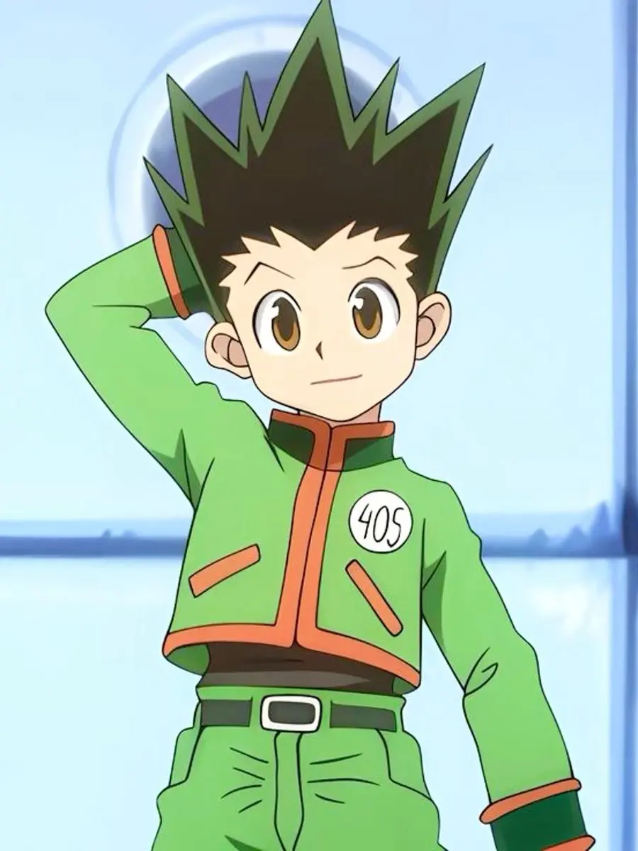 EasyWeek0248의 HUNTER×HUNTER