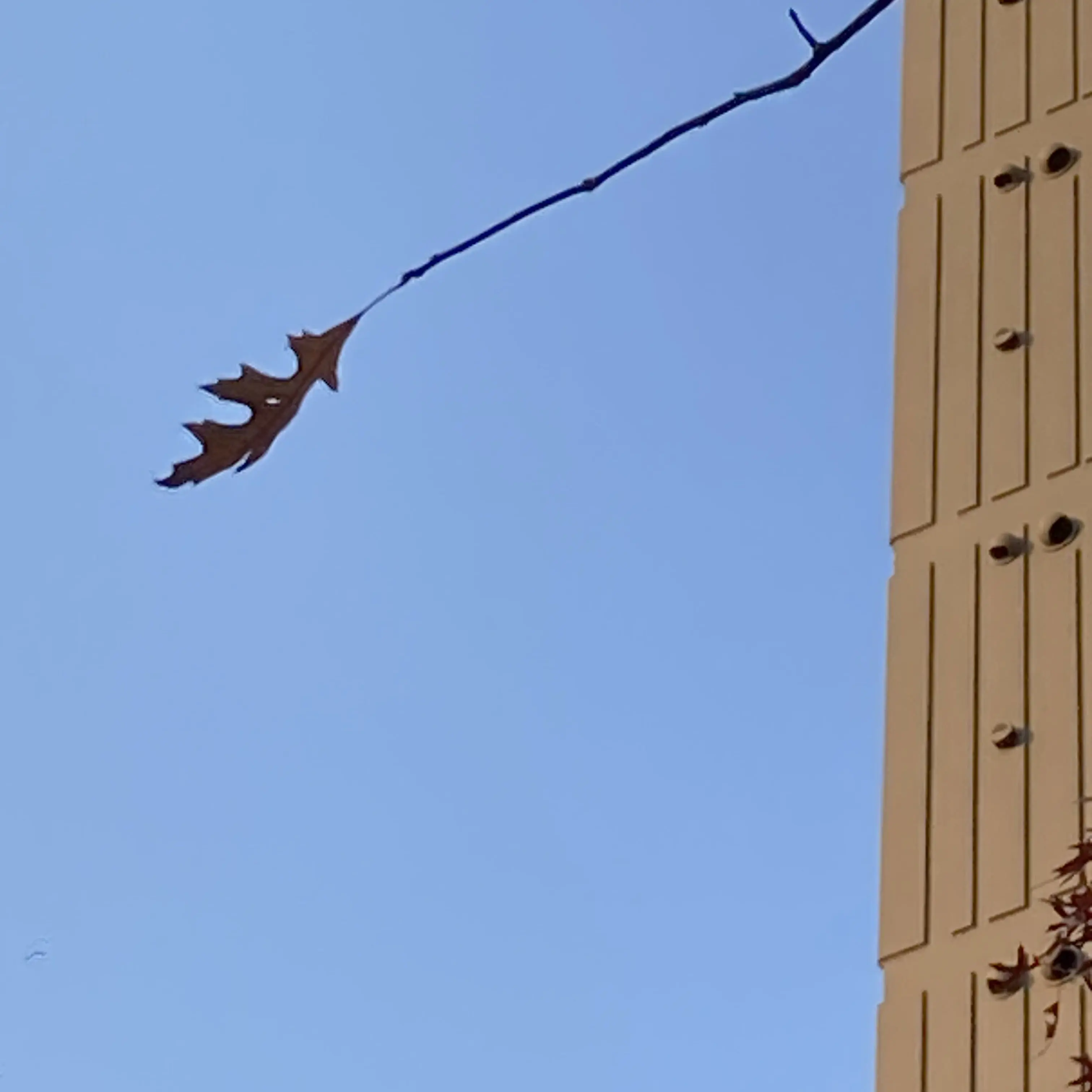 cozykim1010의 토도로키 토우야