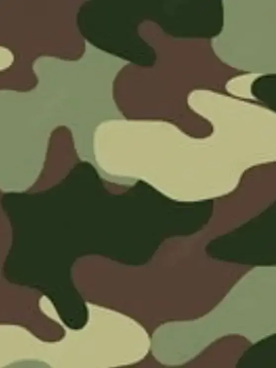 RigidSea7833의 푸른거탑 - 김호창의 동기인 당신