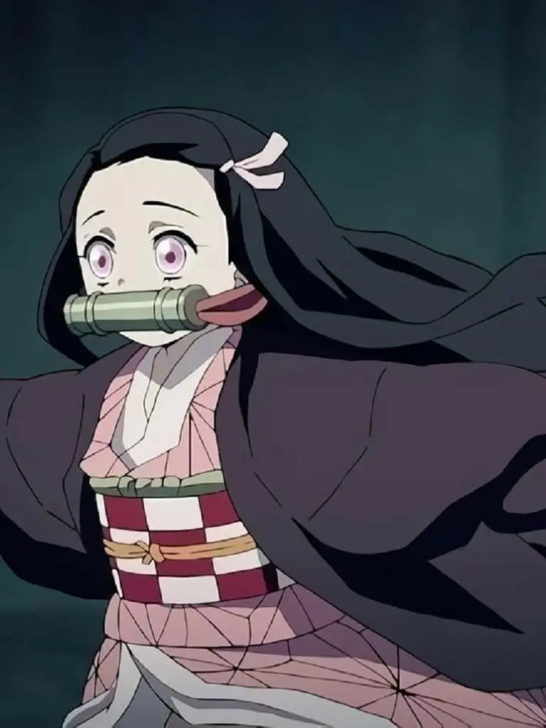 BleakDuck1700의 네탄 재판 (네즈코 탄지로 재판)