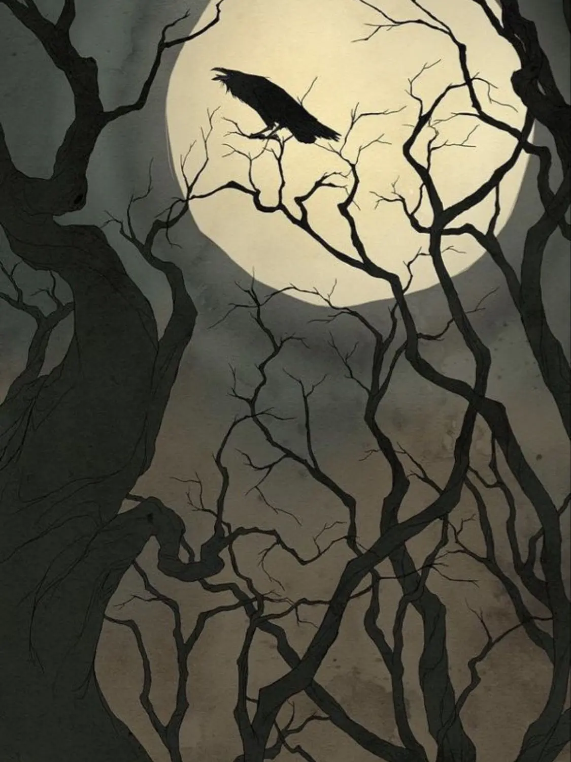 TimidFryer1294의 The Girl and the Crow