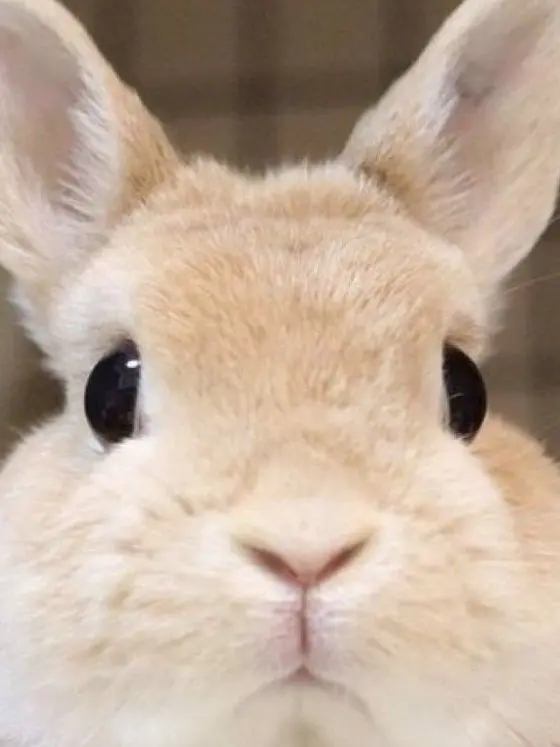 MatteWaist8894의 Oooo