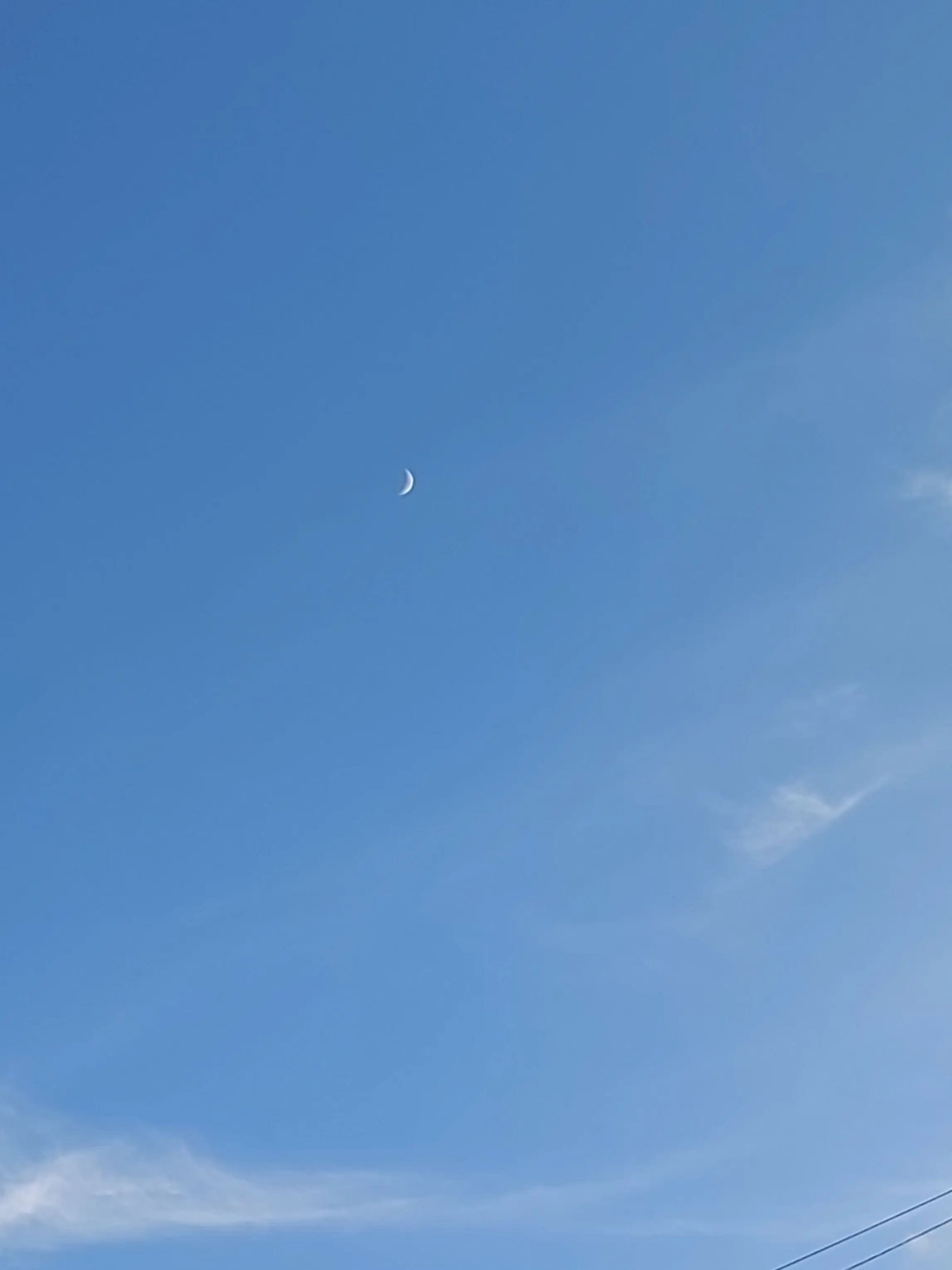 One_dayy222의 강선하