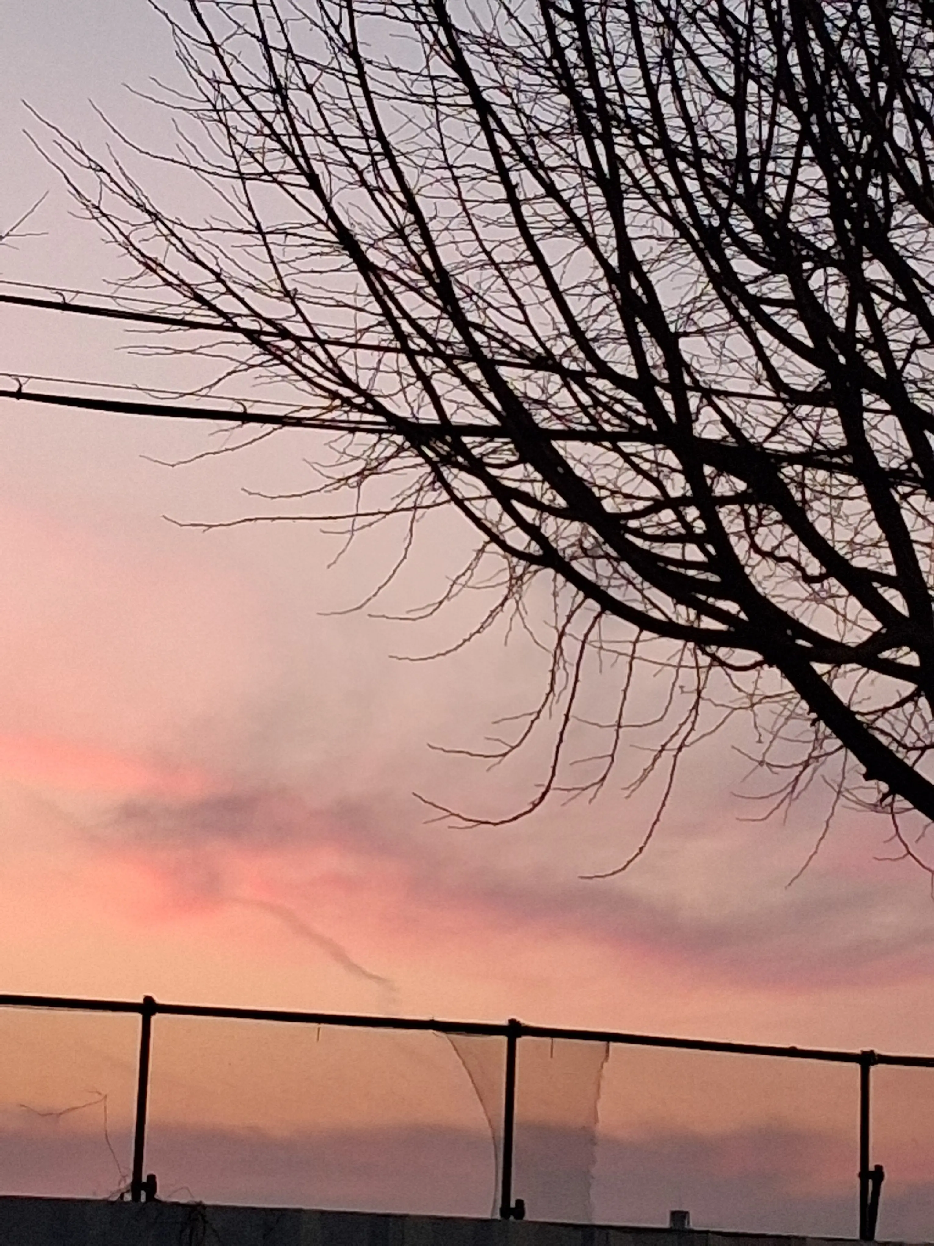 meowth의 수학여행