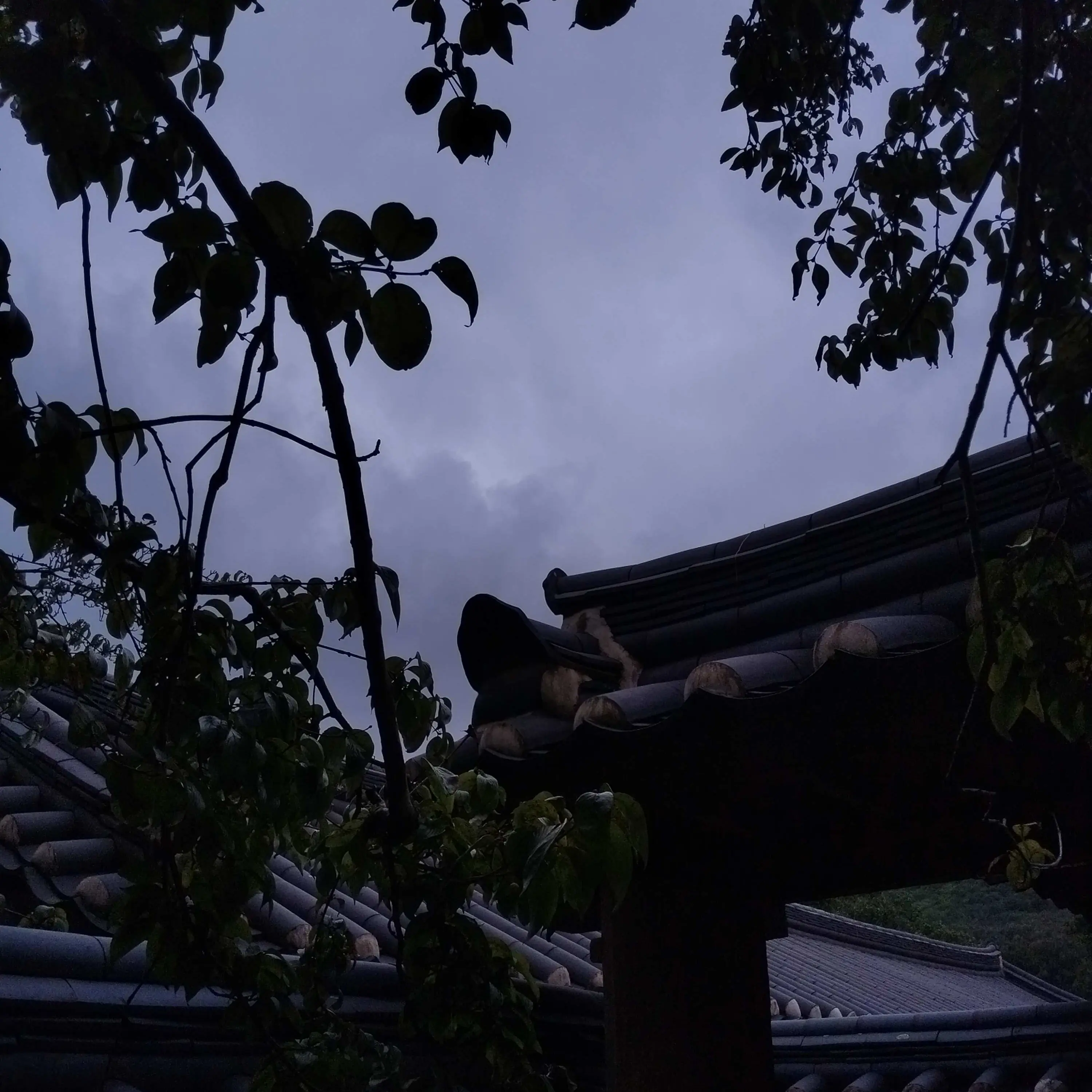 SevereFlea3487의 당신에게 집착하는 정형준&황수현