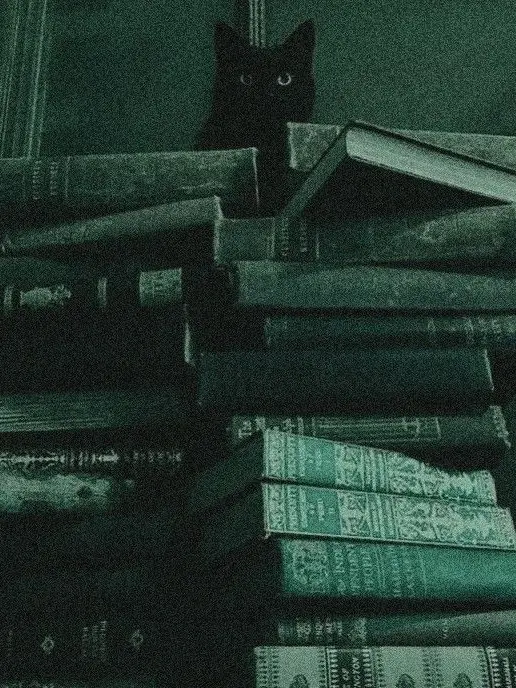 Riiiiiiide의 운 터