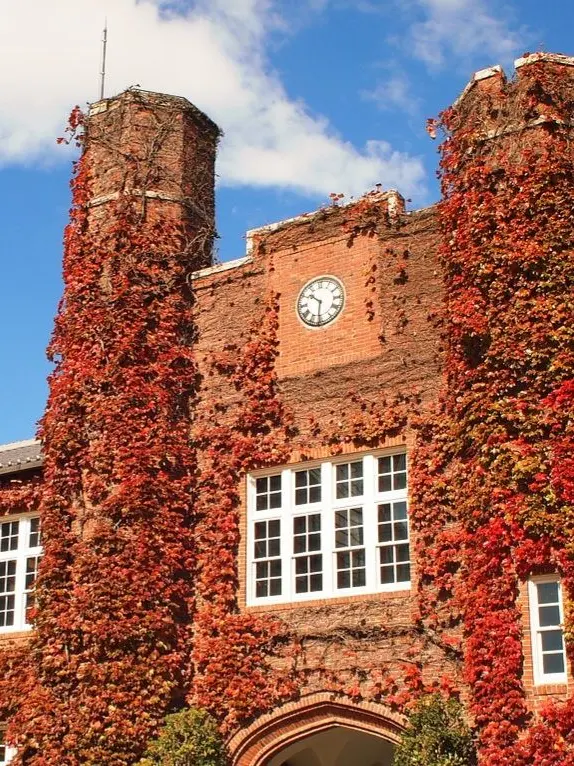 jk7의 🪶 이상적인 캠퍼스