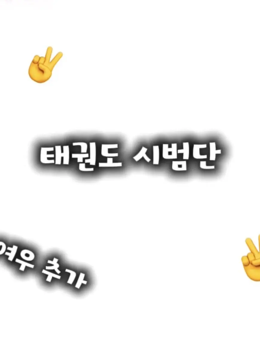 Sandyhappy의 태권도 시범단