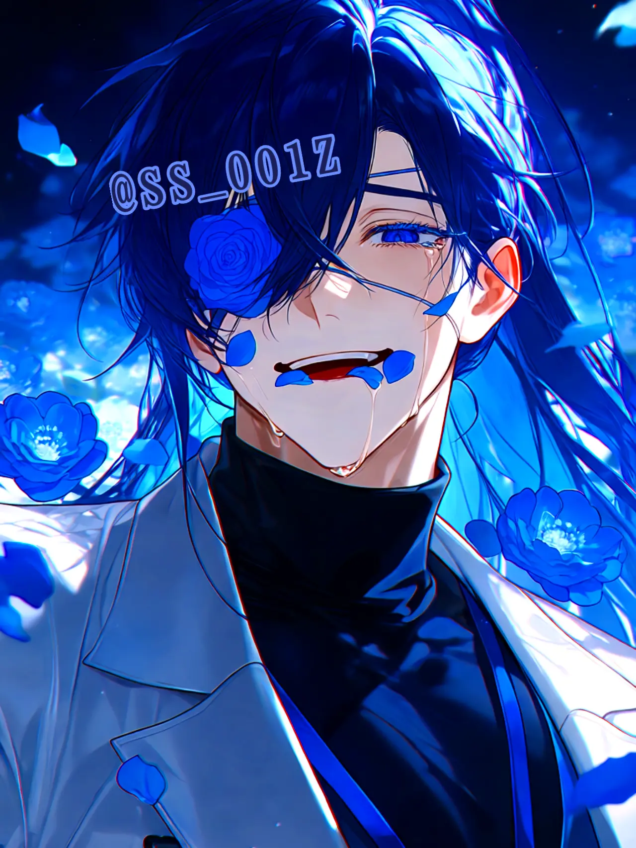 SS_001Z의 花象総合研究機構