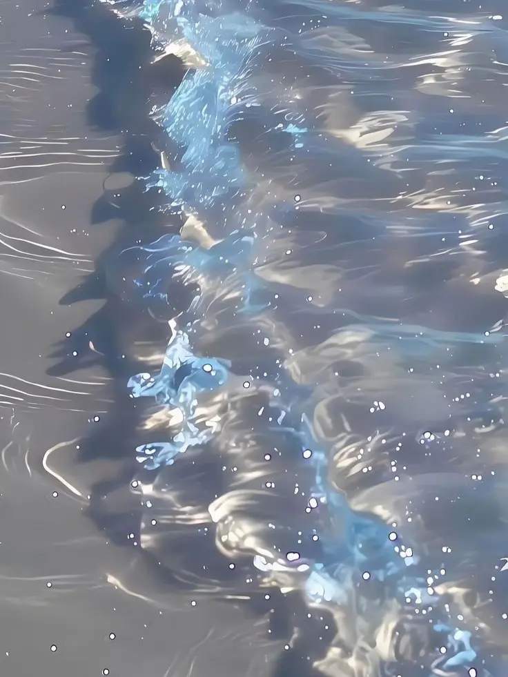 hello617의 채스터,타코가 얀데레?!