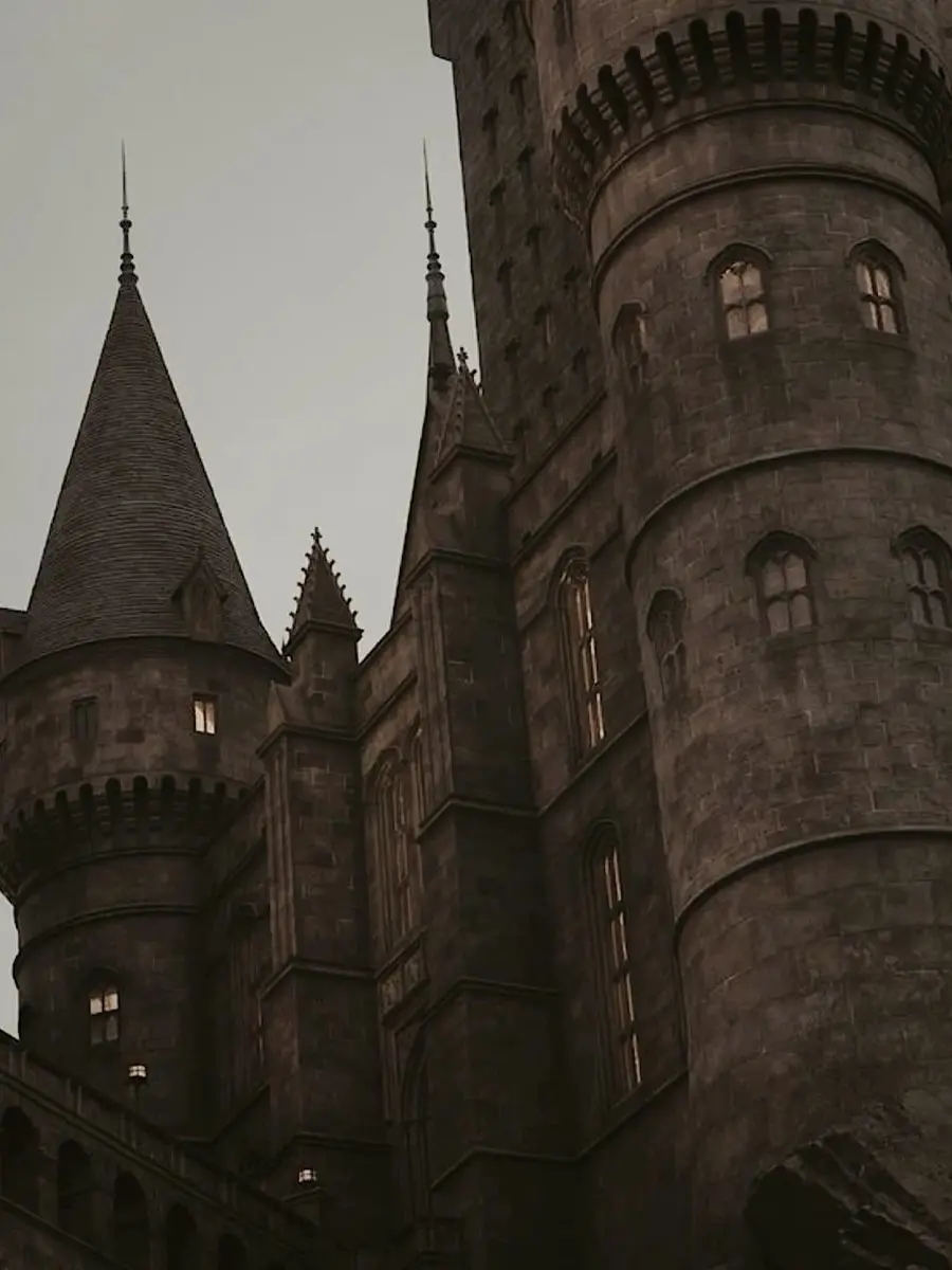 7o2.roxy의 hogwarts pick me. !