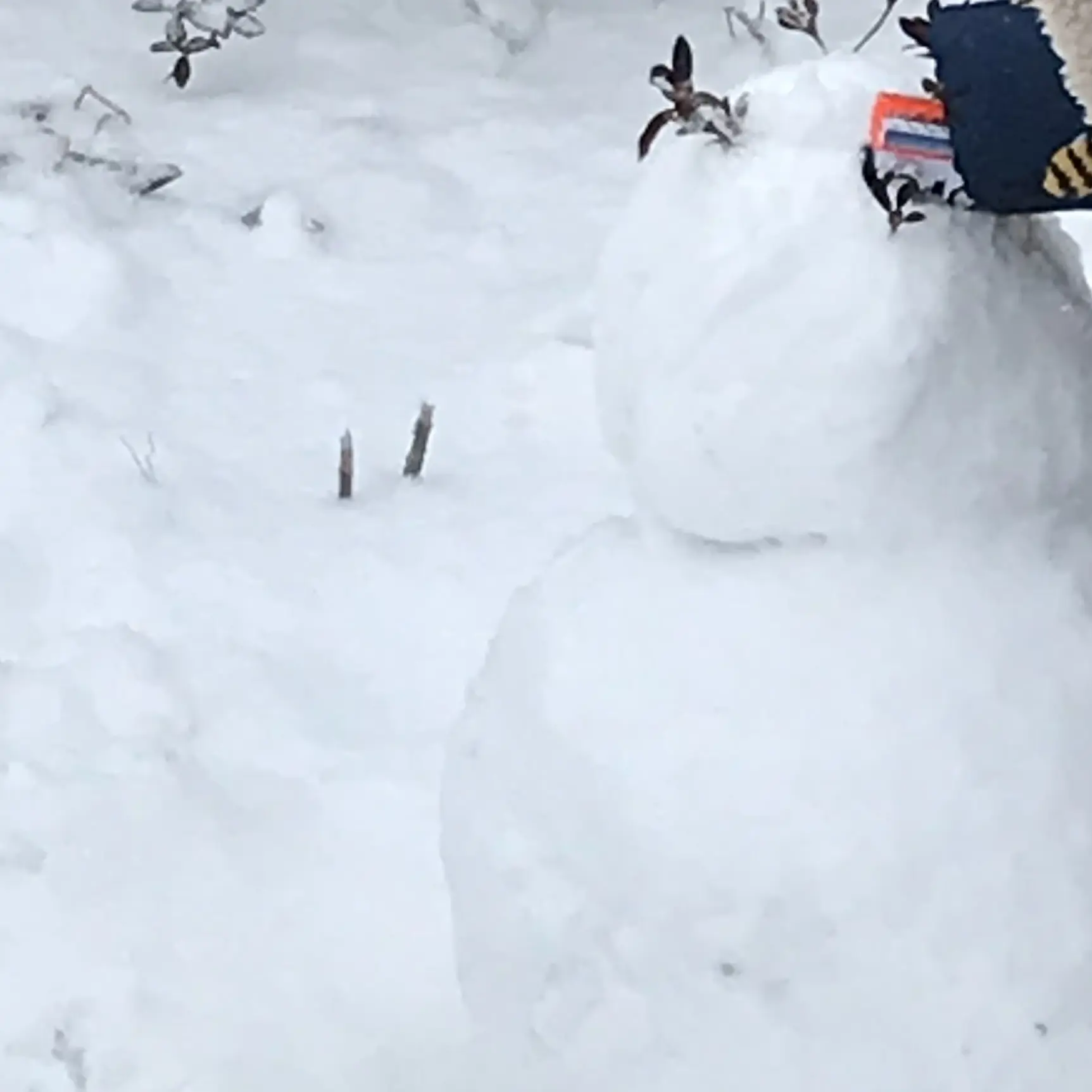 HungryMeat2293의 5년 만에 만난 초딩이 달라졌다