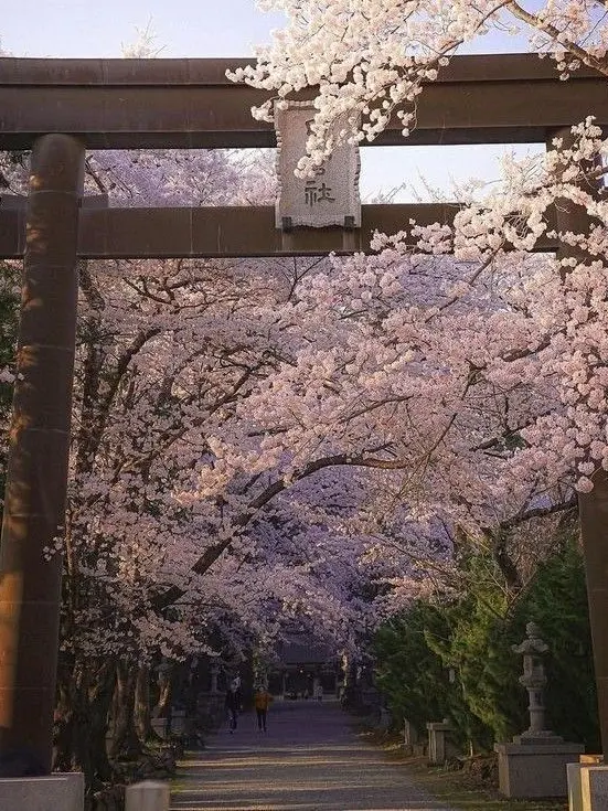 hirakoshinjicore의 BLEACH