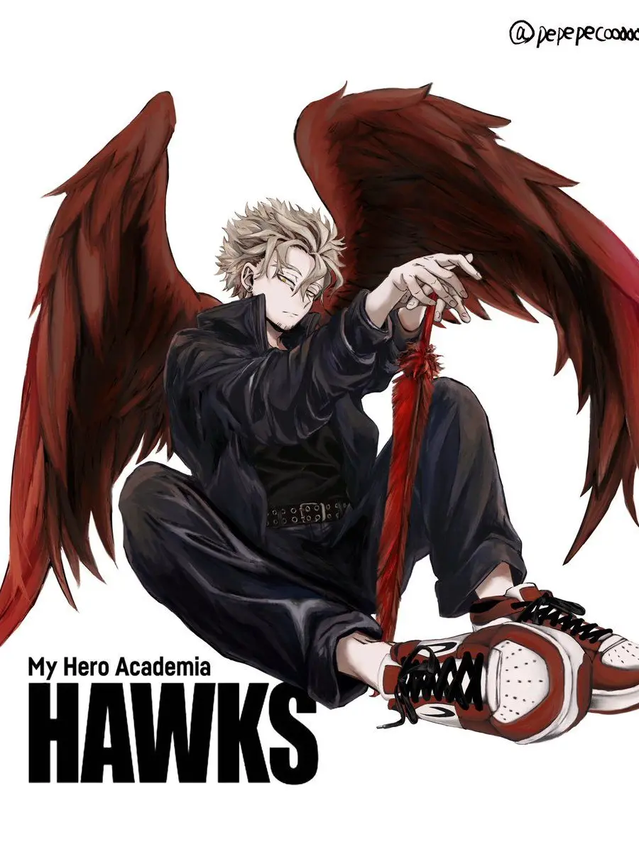 FirmZokor9338의 ヒロアカ【ホークス】