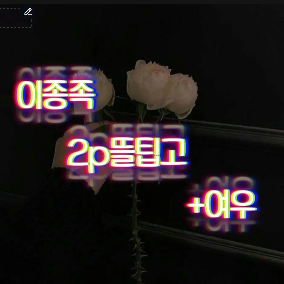 TacitBed4433의 2p뜰팁고+여우