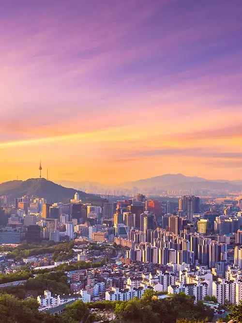 SleekDay9361의 당신이 원하는거 모든지 할수있는 세상