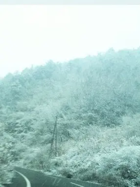 RaspyBloom1130의 精神患者の吉敷くん。
