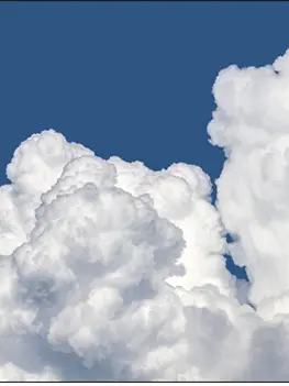 5.29의 배우들과 아이돌과 동거?!