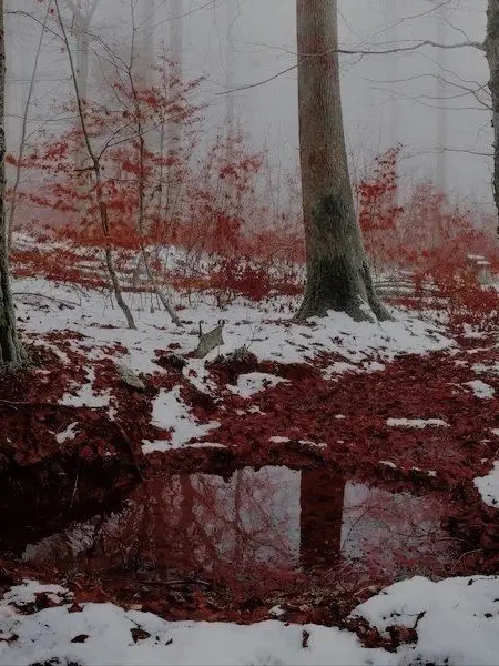 psycho0001의 사용ㄴㄴㄴㄴ