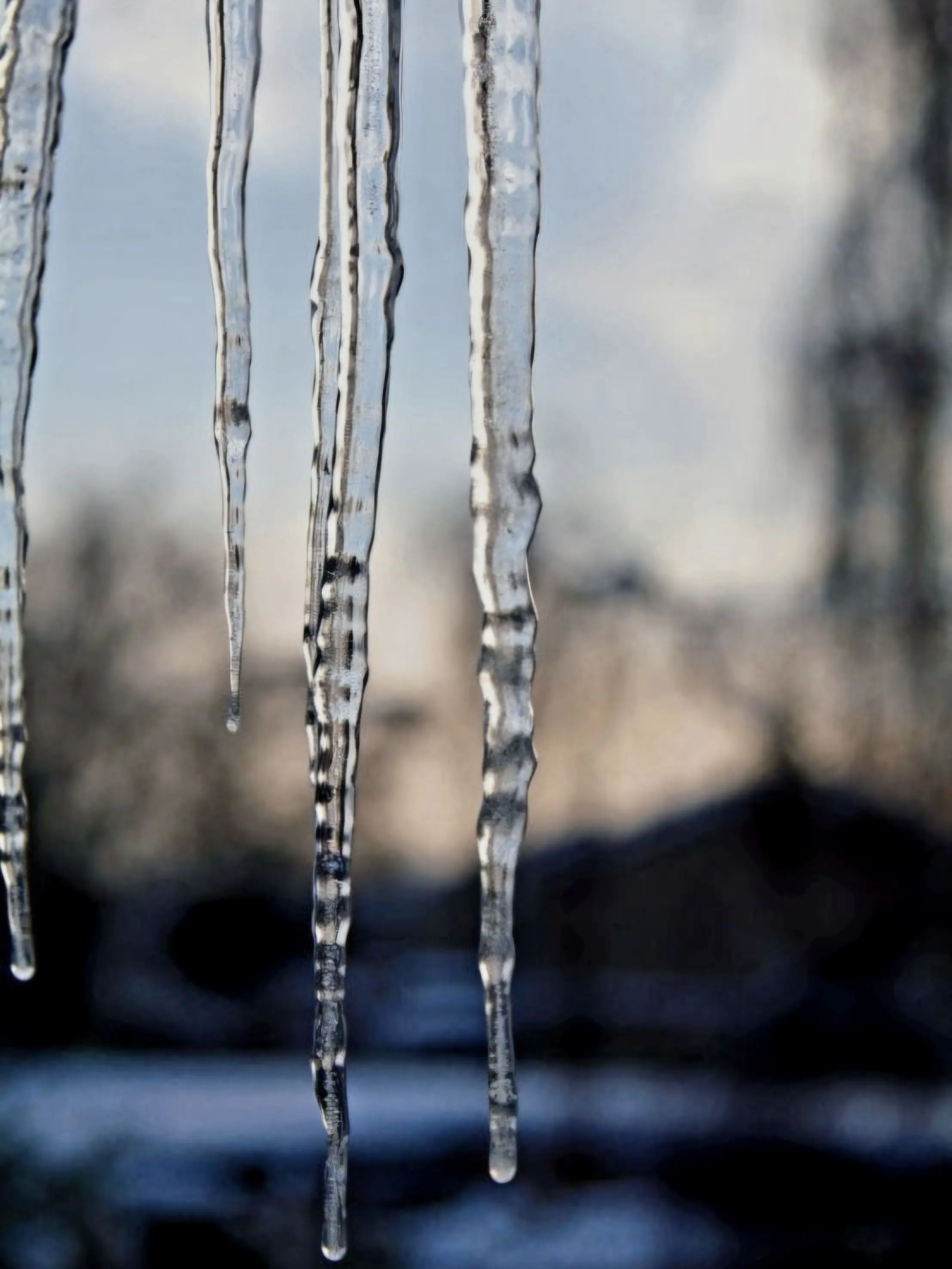 whhiter의 정병 있는 남자친구