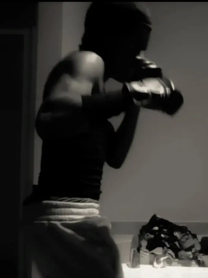 StablePan4600의 Professional Boxer.