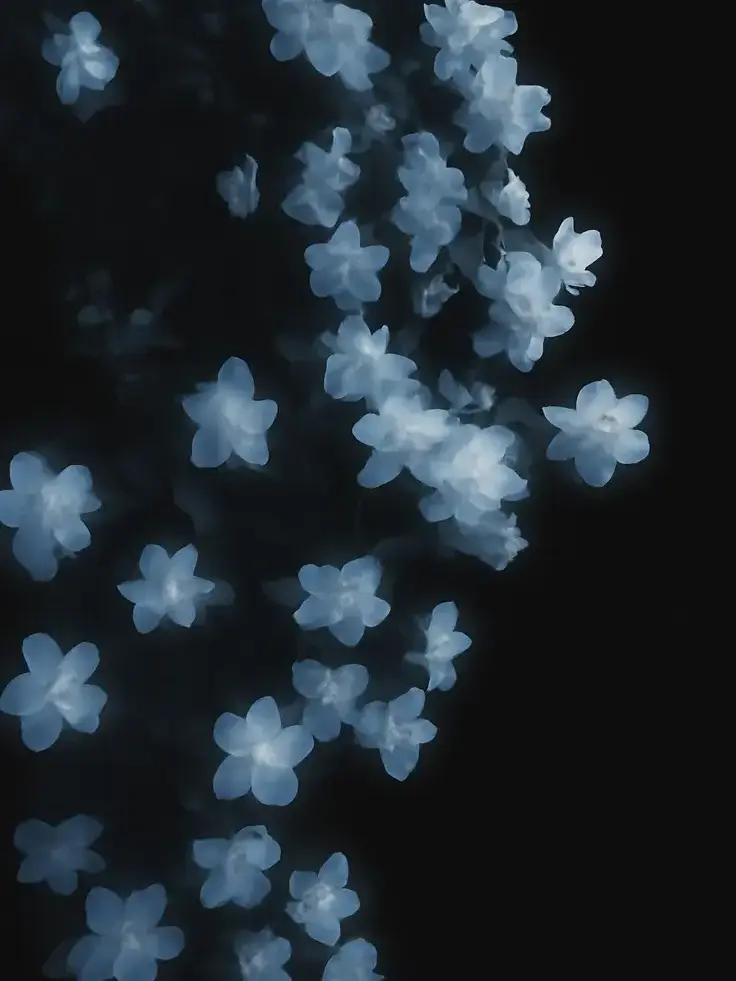 Ghost_Attendance_1004의 青い春に咲くあの子が気に入らない。