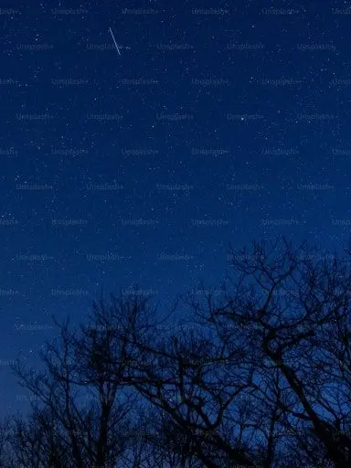 Alvin12의 커플 훔쳐보기